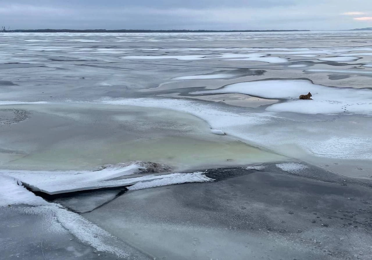 Жителям Саратова до Нового года запретили выходить на лёд